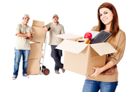 Packing support for a local house or office move
